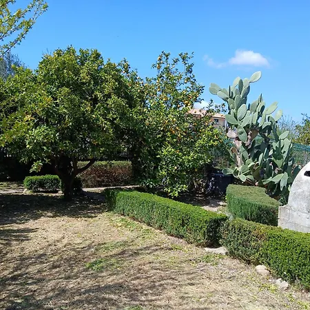 Giuanniccu E Luxia Σπίτι διακοπών